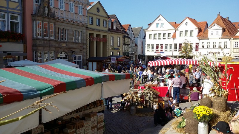 Hameln Markt