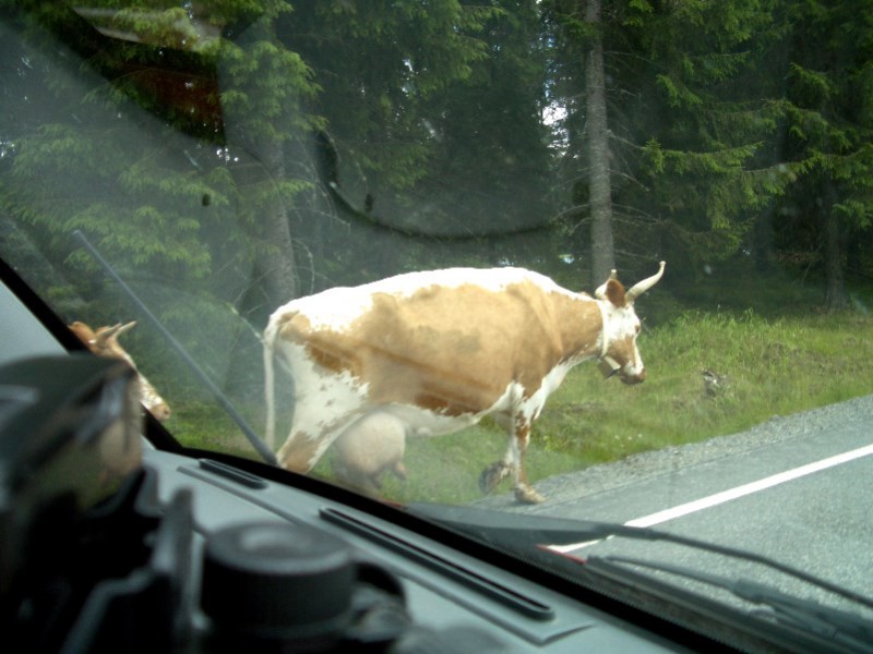 Begleitung bei der Anfahrt