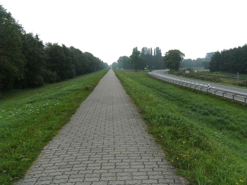 Deich Richtung Koserow