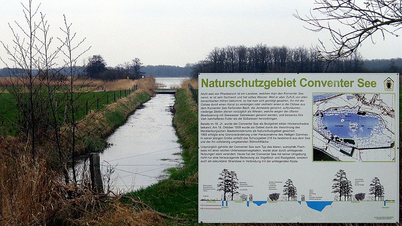 Boergerende Naturschutzgebiet Conventer See