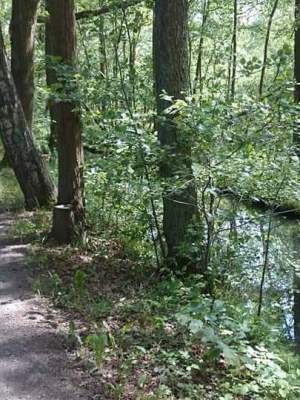 Spreewald – Elbe&nbsp;2019