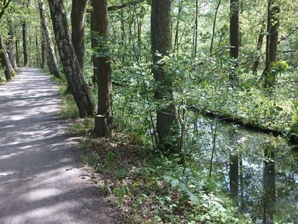 Spreewald – Elbe&nbsp;2019