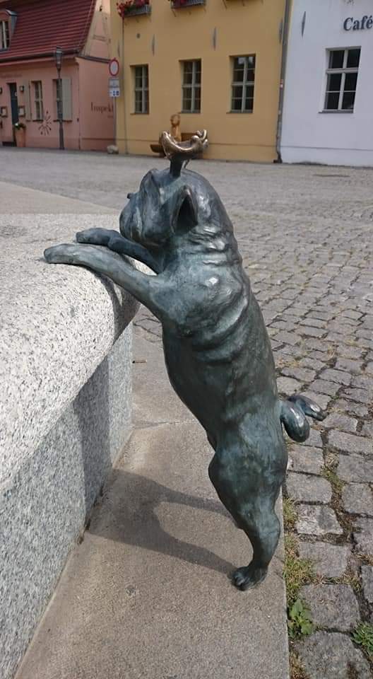 Brandenburg Waldmops 1