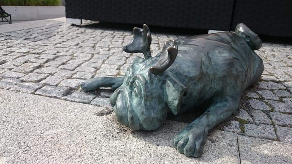 Brandenburg Waldmops 2