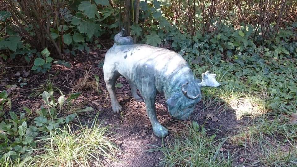 Brandenburg Waldmops 4