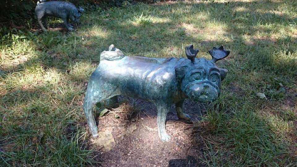 Brandenburg Waldmops 5