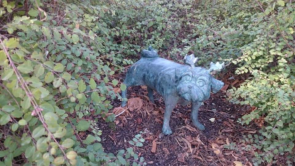 Brandenburg Waldmops 6