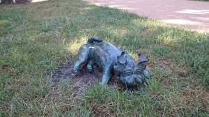 Brandenburg Waldmops 7