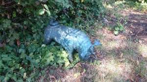 Brandenburg Waldmops 8