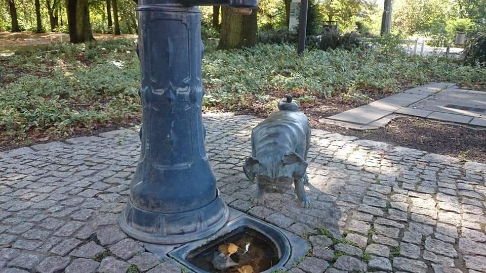 Brandenburg Waldmops 9