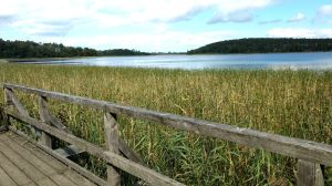Waren Blick über den Freisnecksee