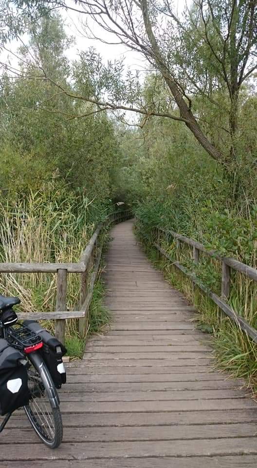 Waren Steg Richtungen City