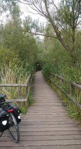 Waren Steg Richtungen City