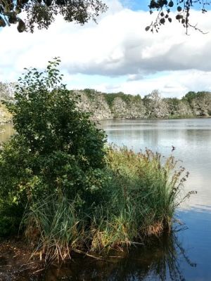 Havel – Müritz&nbsp;2019