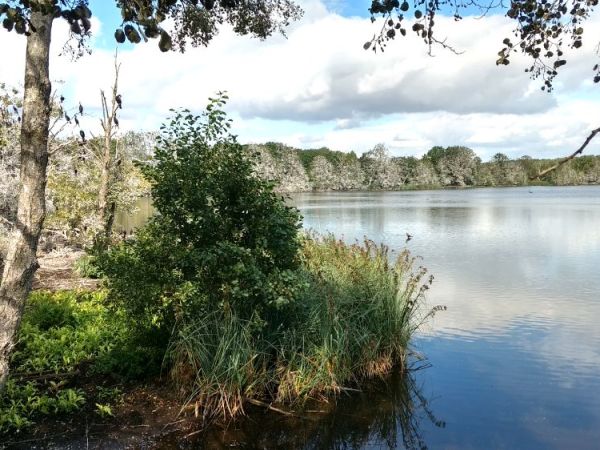 Havel – Müritz&nbsp;2019