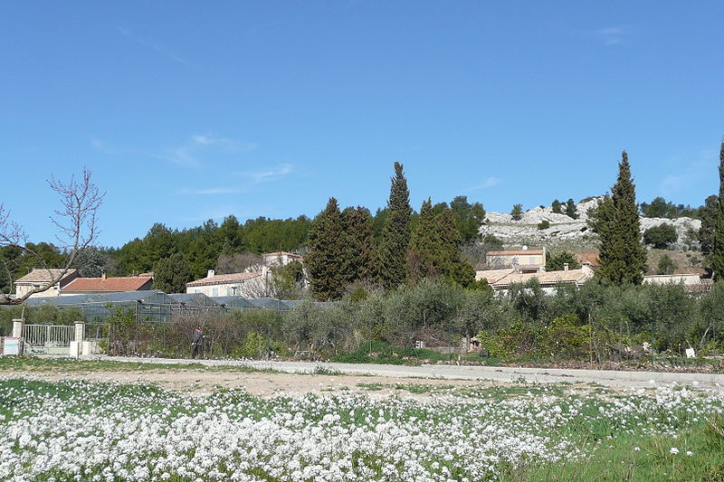 Maussane_les_Alpilles