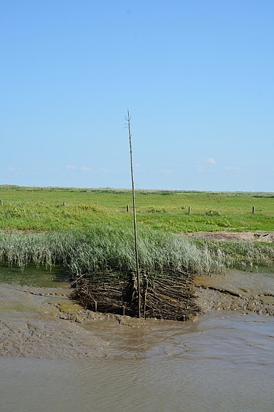 Neufeld Buhne im Hafen