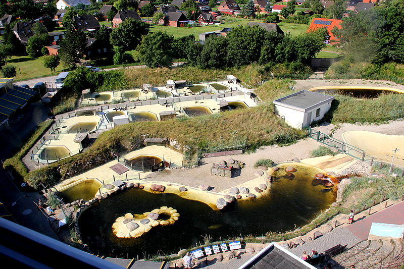 Friedrichskoog Seehundstation