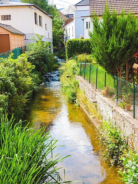 Orbey Ruisseau la Weiss