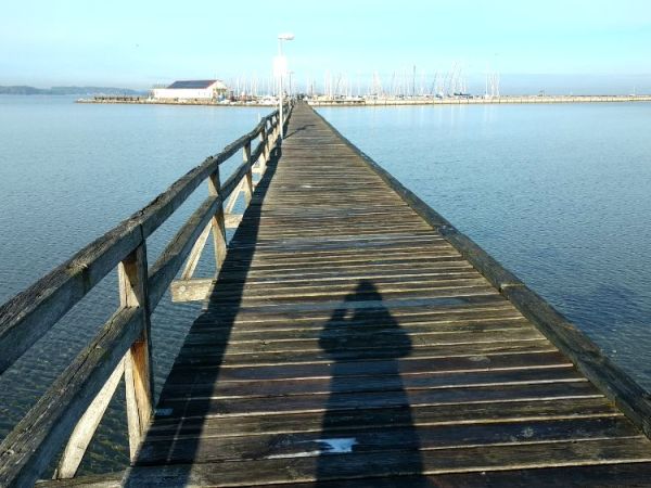 Damp – Wackerballig&nbsp;2020