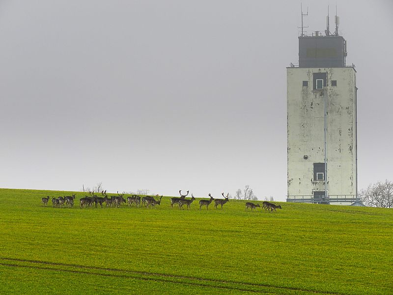 Behrensdorf Silo Waterneverstorf