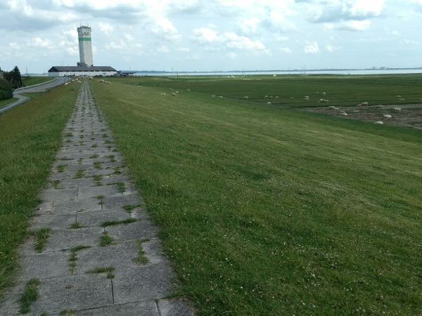 Nordstrand – Kalifornien&nbsp;2021