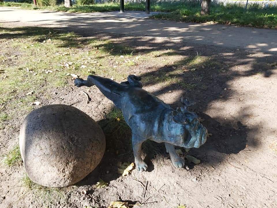 Waldmops am alten Stadtbad