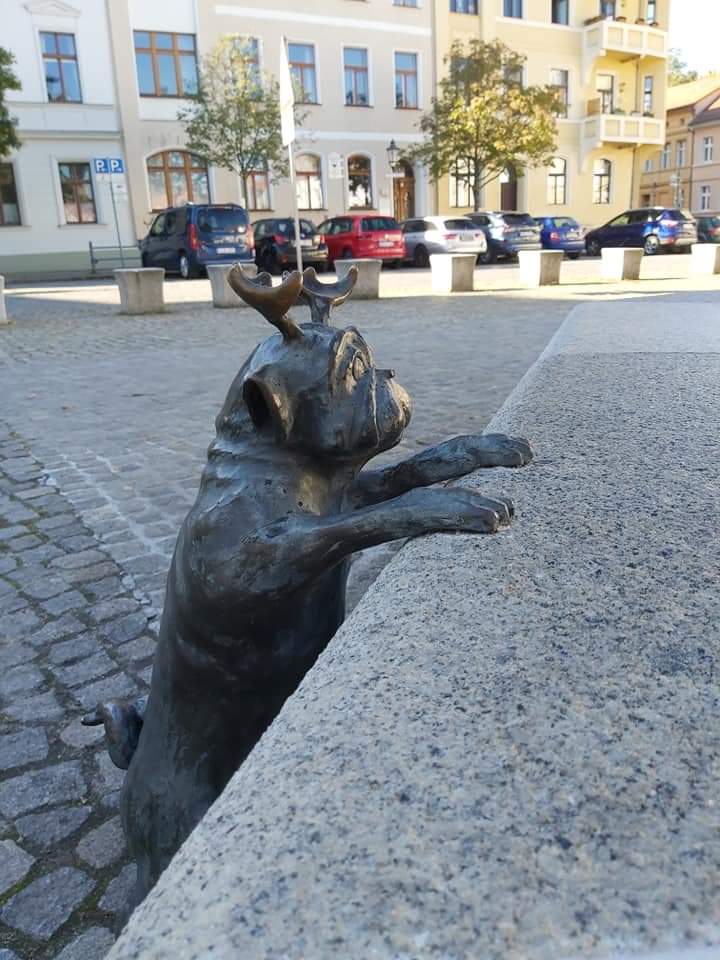 Waldmops am Altstadtmarkt