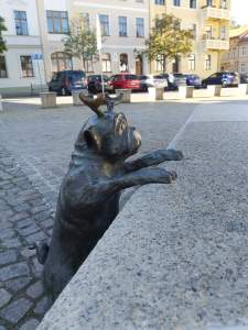 Waldmops am Altstadtmarkt