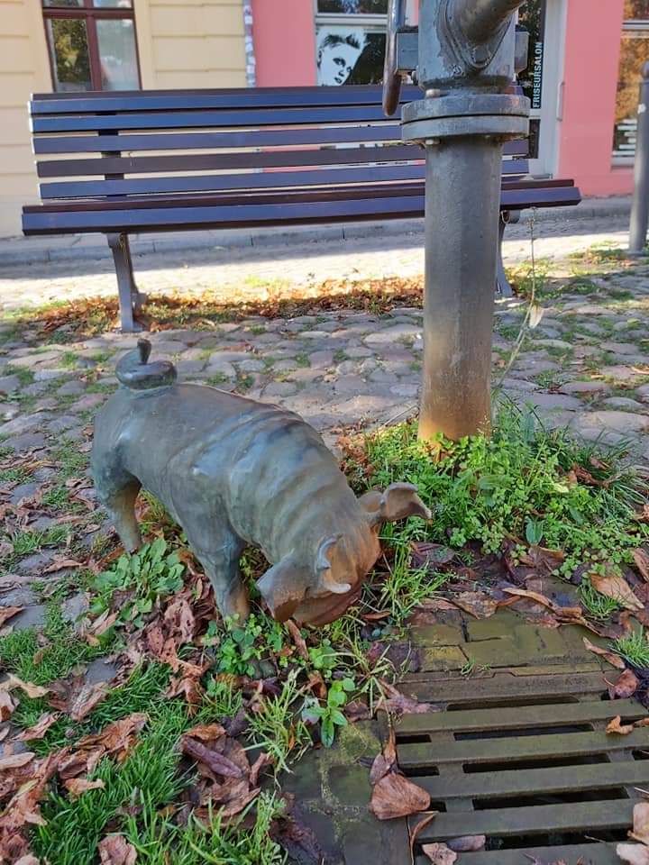 Waldmops am Brunnen beim Dom
