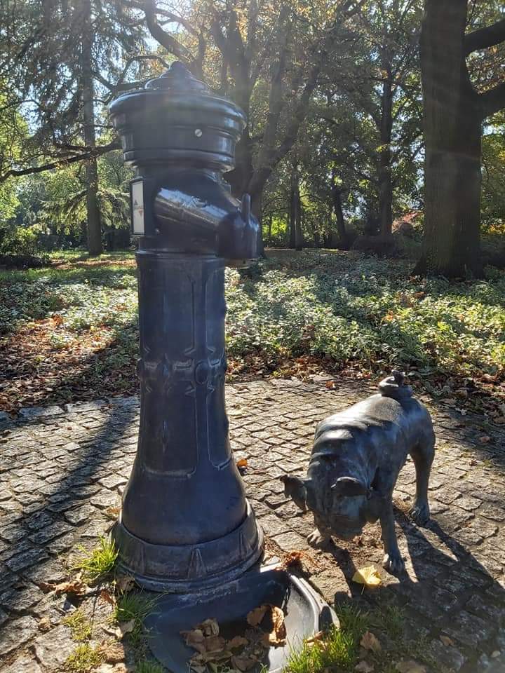 Waldmops Am Humboldthain