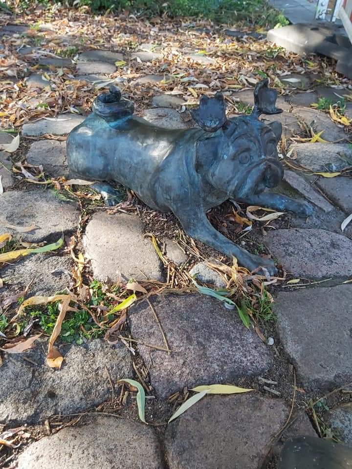 Waldmops am Pfaffeufer