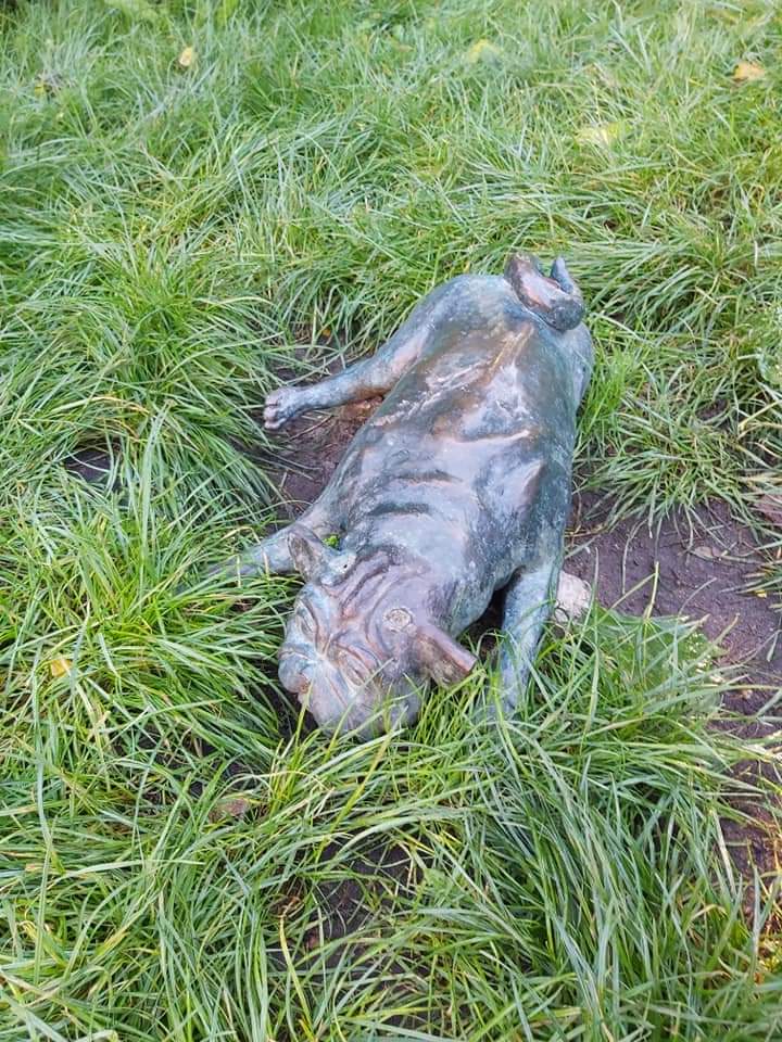 Waldmopspaare am Humboldthain (1)