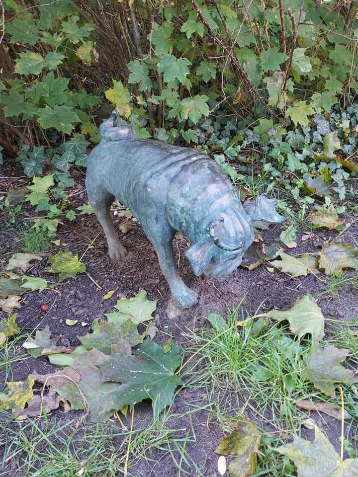 Waldmopspaare am Humboldthain (2)