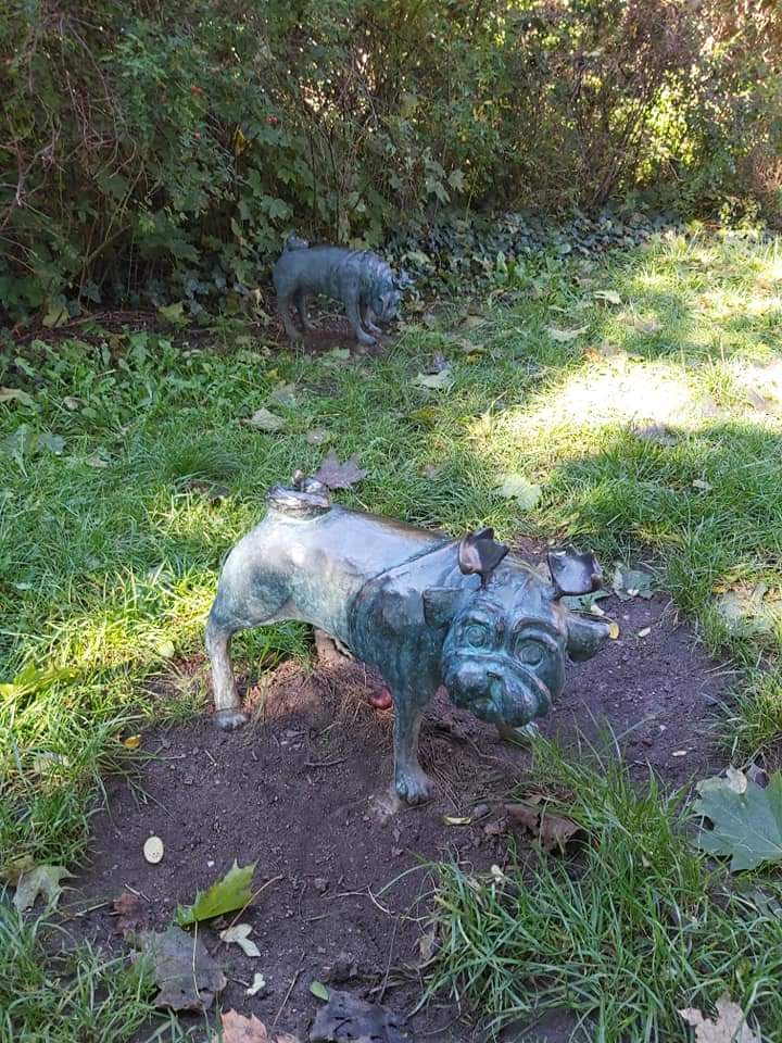 Waldmopspaare am Humboldthain (3)