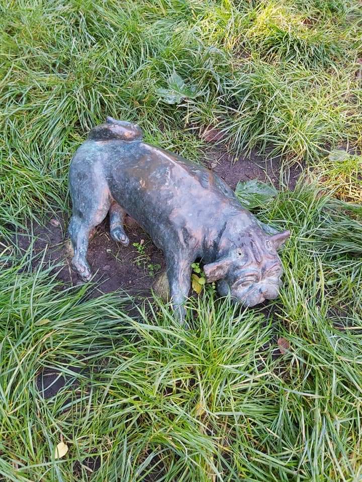 Waldmopspaare am Humboldthain