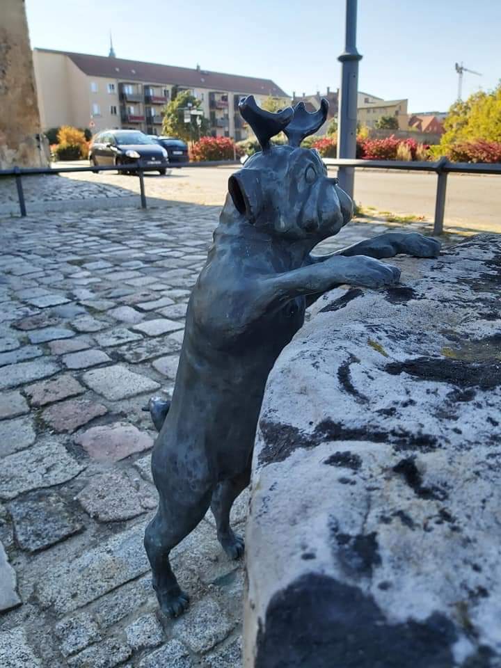 Waldmps am Neustädtischen Mühlentorturm