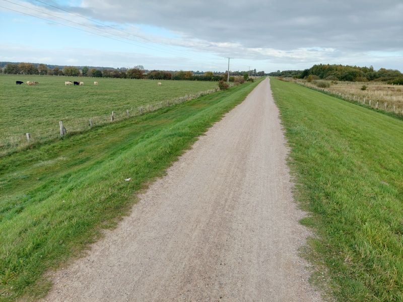 auf dem Deich entlang