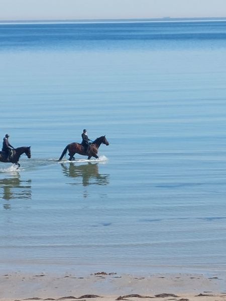 Frühlingsan­­fang in Scharbeutz&nbsp;­2025