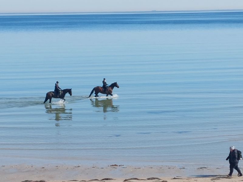 Frühlingsan­­fang in Scharbeutz&nbsp;­2025