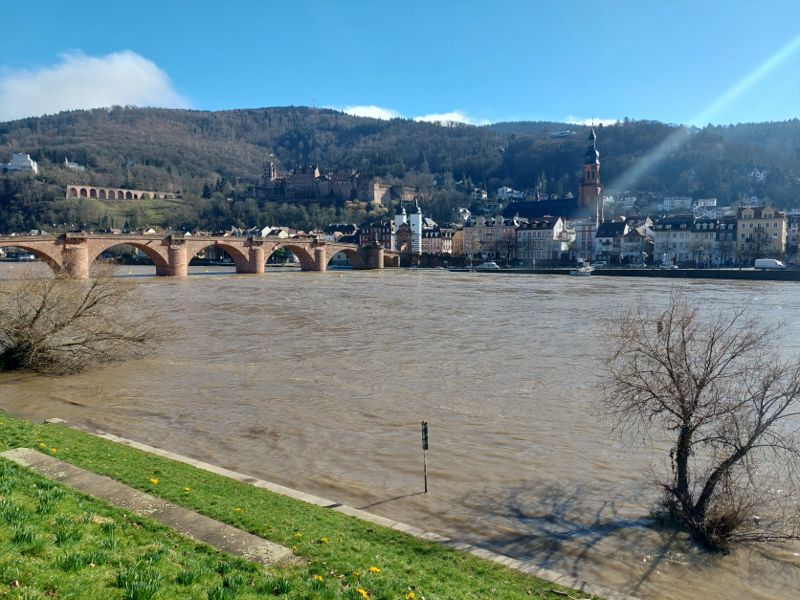 Heidelberg