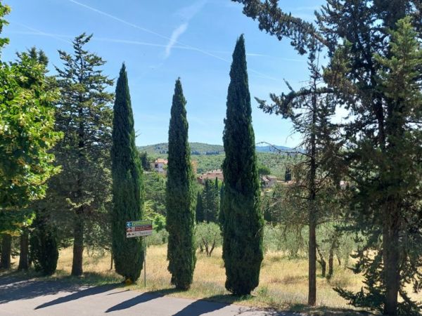 Radda in Chianti